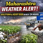 untitled (31)2989044850541648006. - NewsNation Online