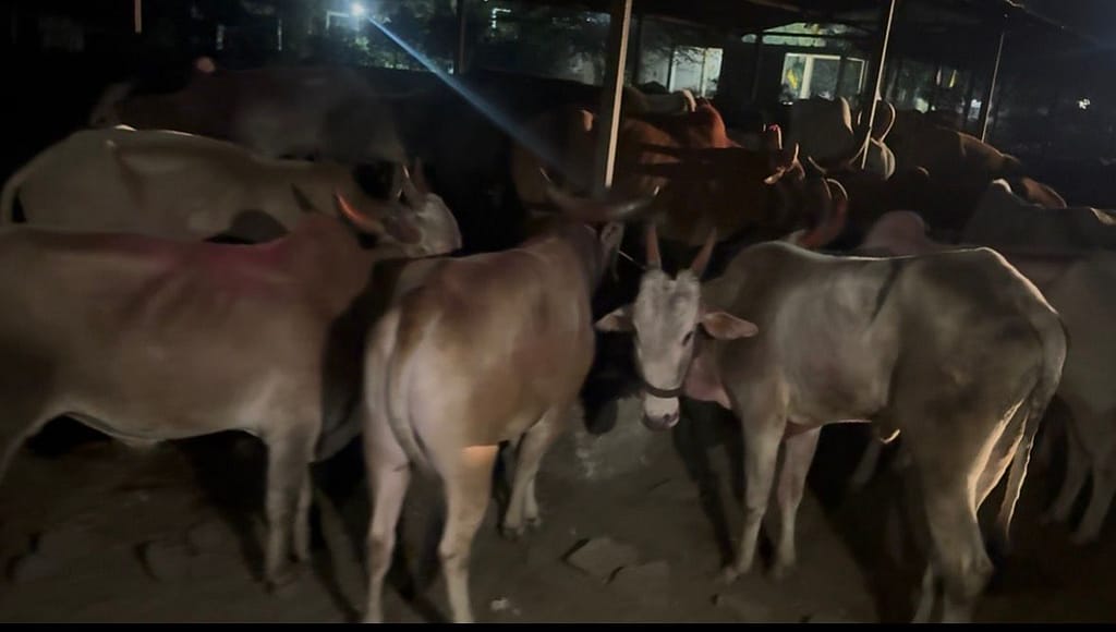 WhatsApp Image 2025-12-12 at 19.43.01 - NewsNation Online