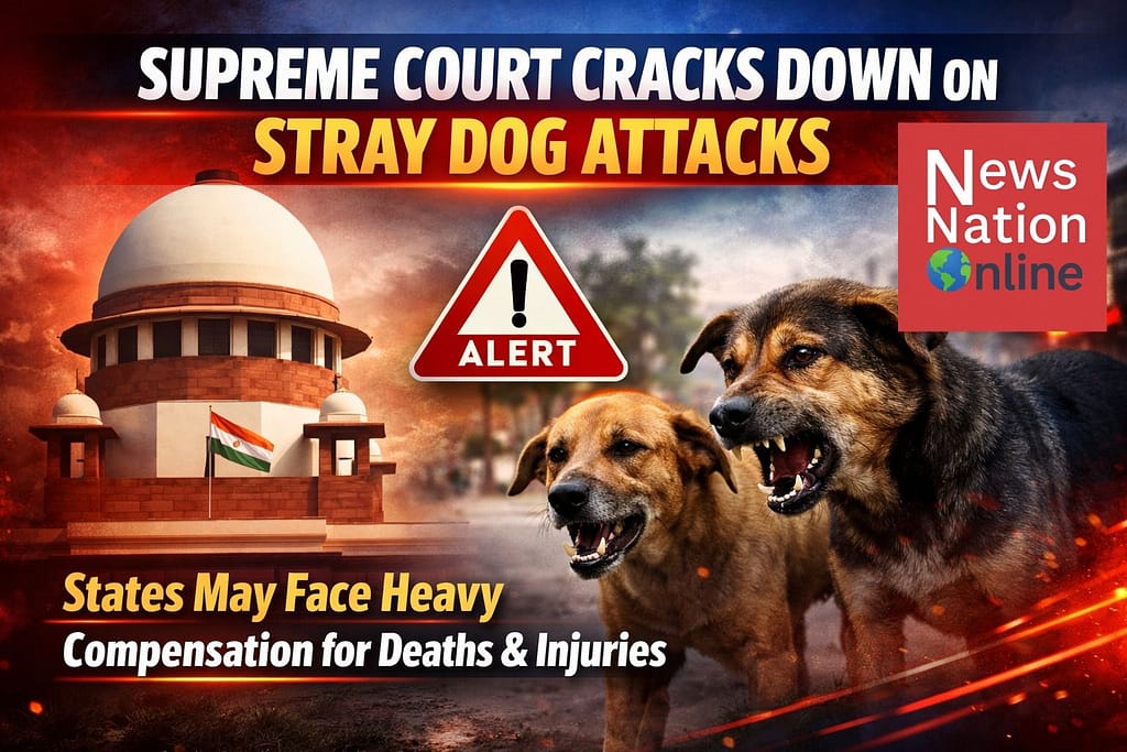 untitled (7)7667744990112471512. - NewsNation Online