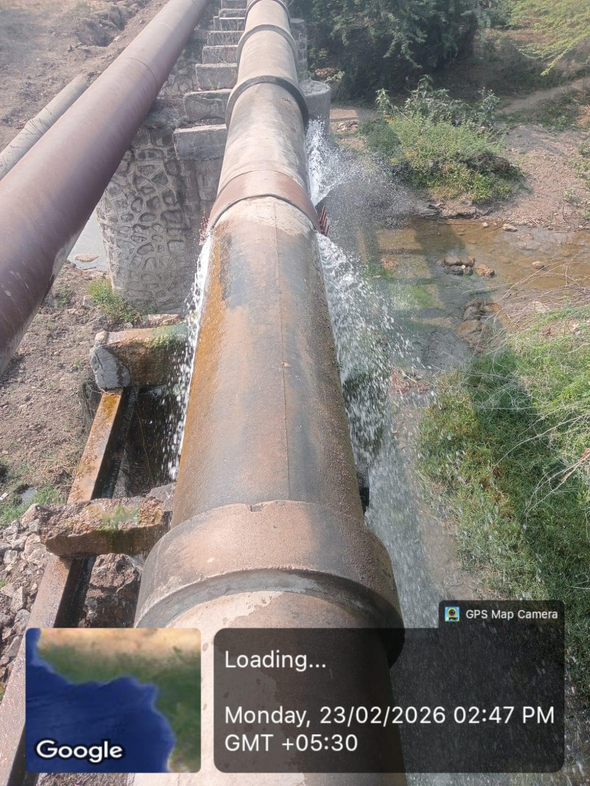 WhatsApp Image 2026-02-24 at 184211 1 - NewsNation Online