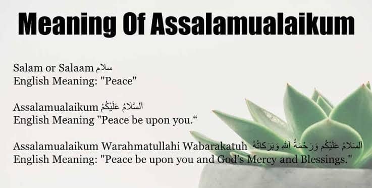 image_editor_output_image271898097-17380054670536548087819735630311 - NewsNation Online