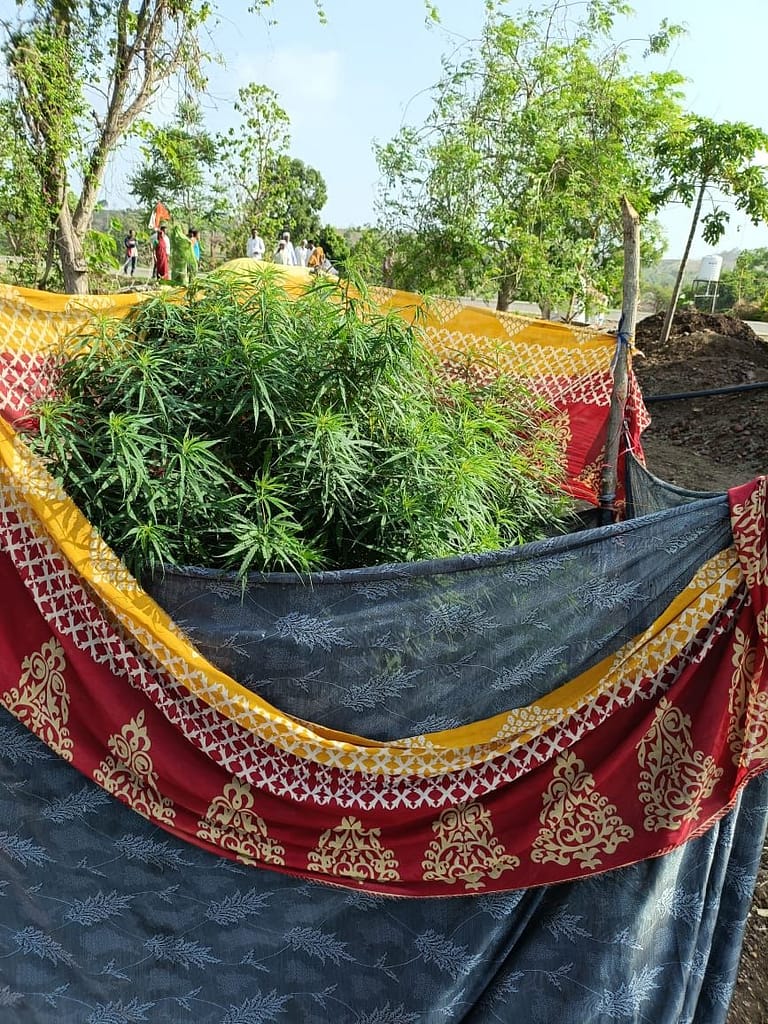 IMG-20250604-WA0102 - NewsNation Online